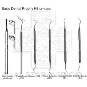 Basic Dental Prophy Kit